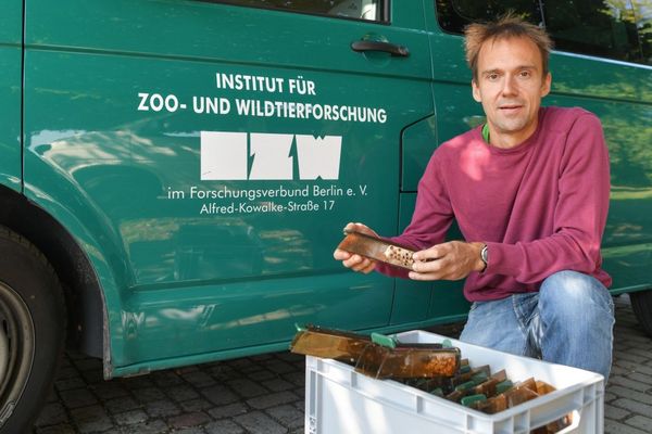 Ökologische Brücken