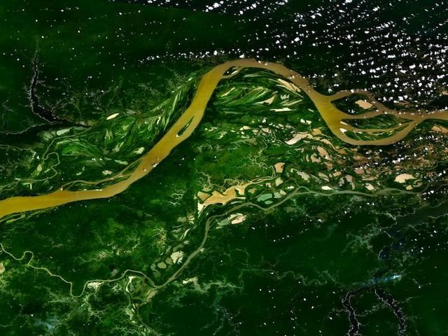 Luftaufnahme des Amazonas