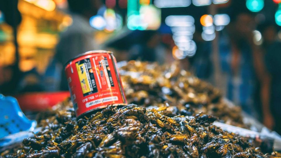 Marktstand mit toten Insekten