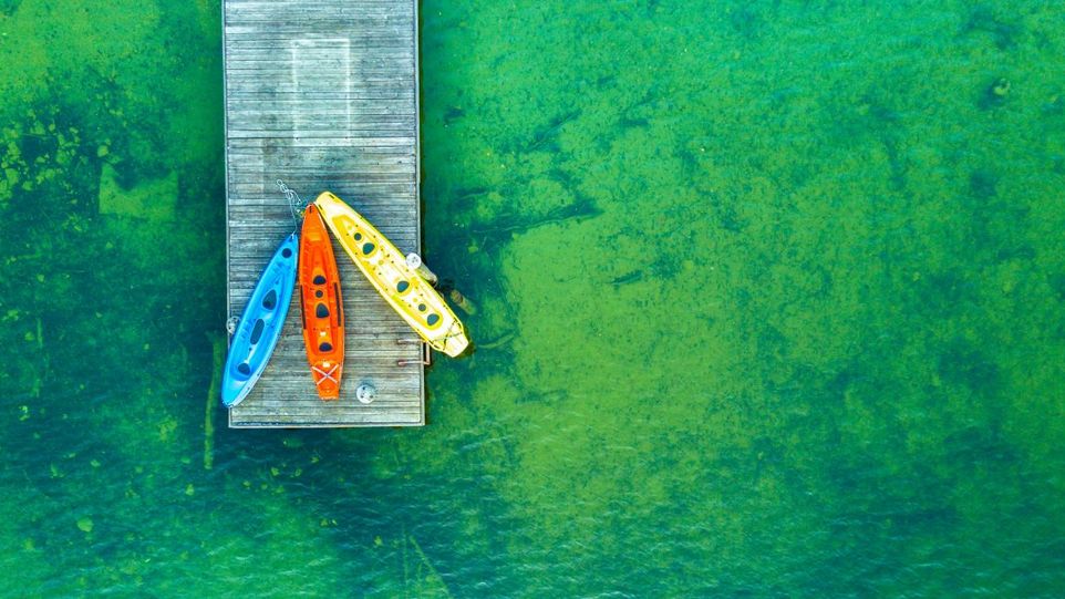 Bootssteg im grün eingefärbten See