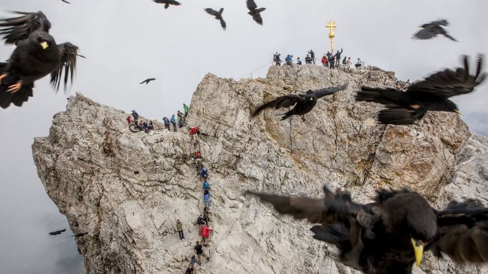 Bergsteiger auf und kurz vor dem Gipfel, im Vordergrund kreisen Krähen