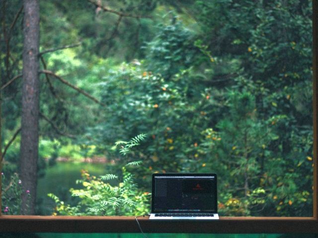 Laptop-Bildschirm vor Fenster mit Blick ins Grüne